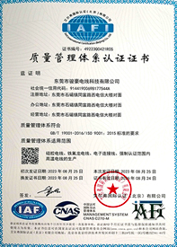 鼎盛国际电线ISO质量管理体系证书