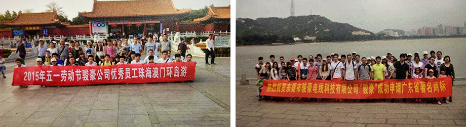 鼎盛国际团队
