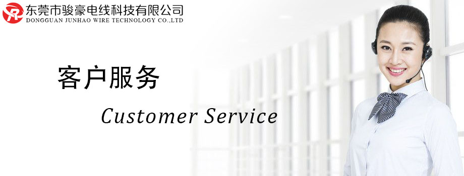 鼎盛国际电线客户服务中心