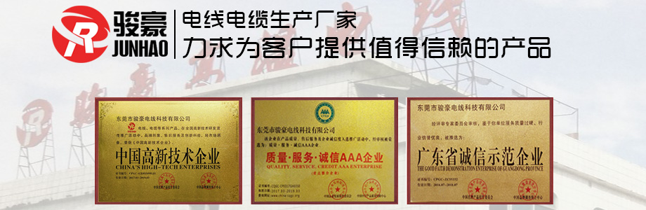 鼎盛国际电线荣誉证书展示