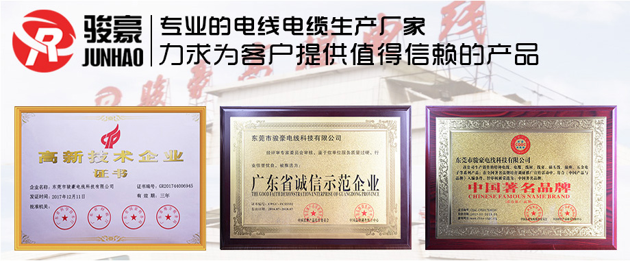 鼎盛国际电线荣誉