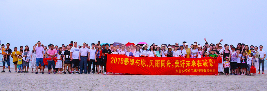 2019年鼎盛国际团队惠州行