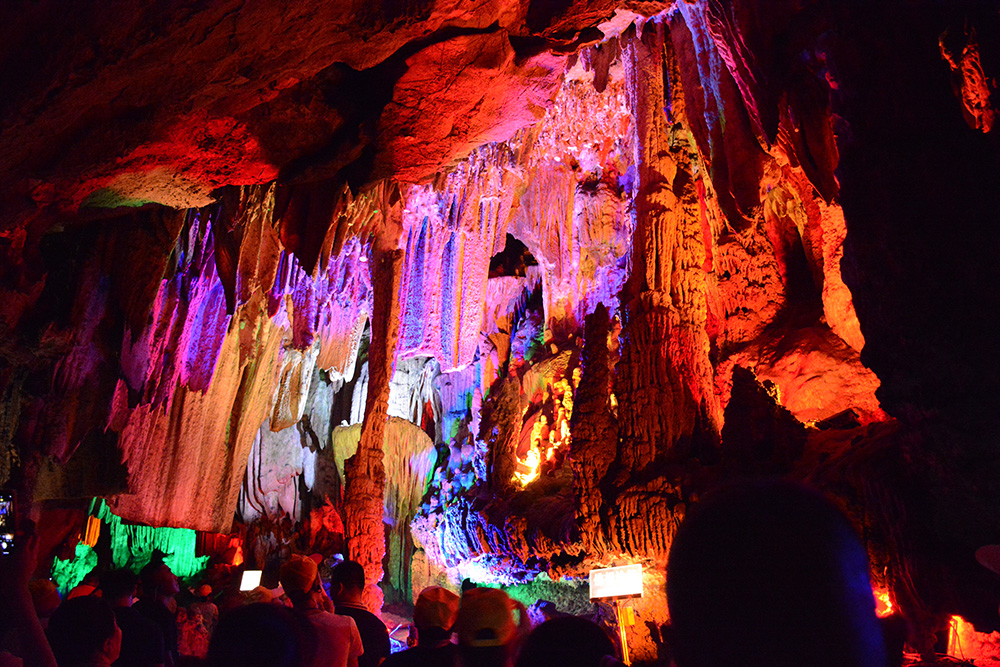 鼎盛国际(中国区) - 官方网站