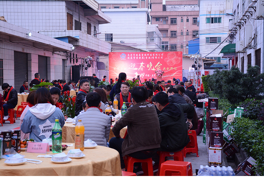 鼎盛国际电线年会现场